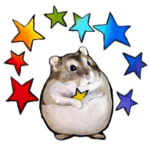 rainbow star hamster