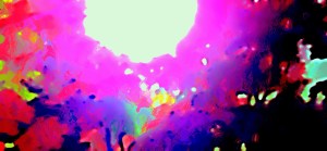 2013-11-03 13.05.41-3