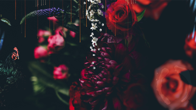 deep state FB banner